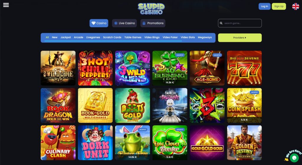 Stupid Casino Screenshot