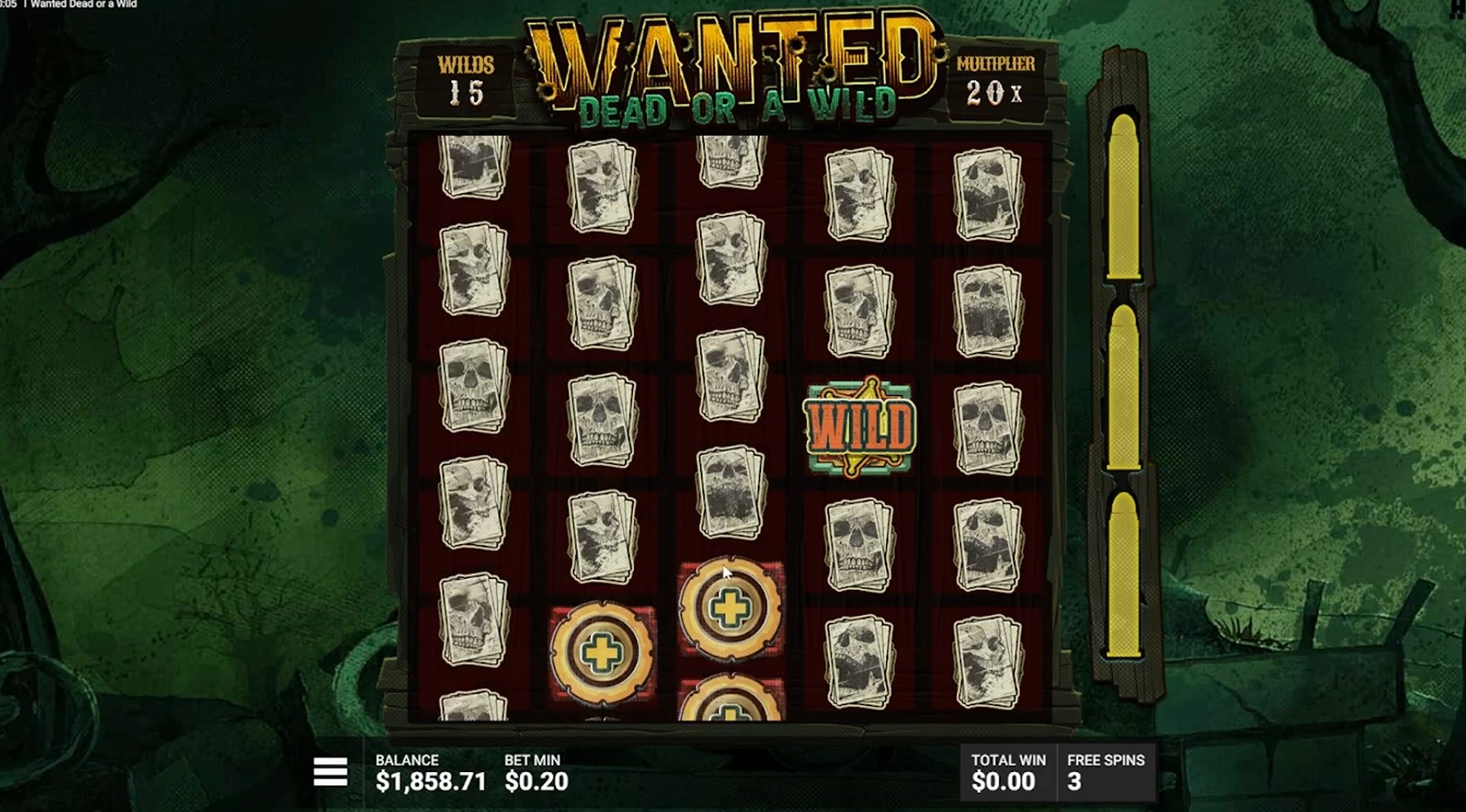 Wanted Dead or a Wild